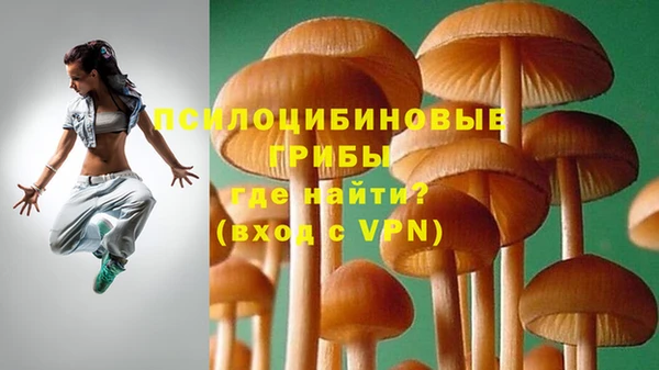 мескалин Горно-Алтайск