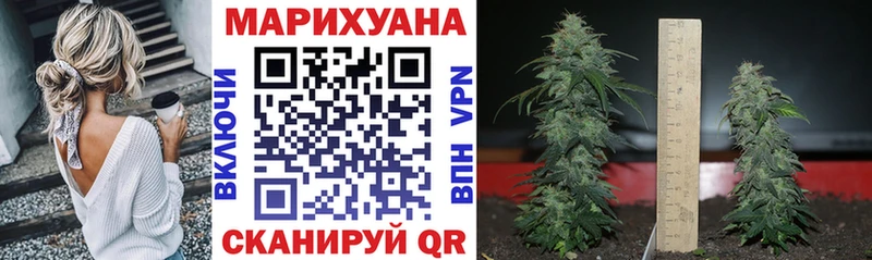 Купить где  Анапа  Бошки марихуана White Widow 